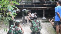 Korem 081/DSJ Siap Tingkatkan Kesejahteraan Masyarakat Melalui Budidaya Domba.