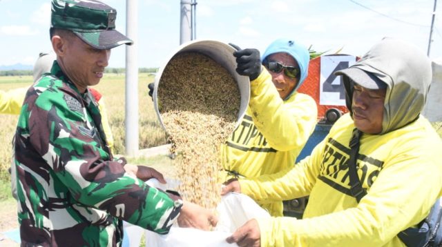 Di Balik Senyum Lebar Petani Padi di Desa Sekarputih.
