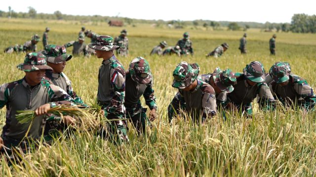 Harga Gabah Anjlok, Danrem 081/DSJ Bantu Petani Tekan Biaya Operasional.