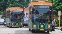 Rayakan Iduladha 1447H, Pemkot Tangerang Gratiskan Bus Tayo dan Si Benteng